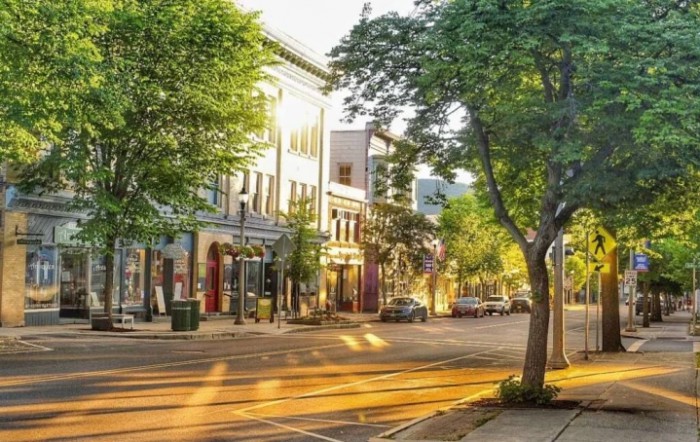 A sunny day on a quiet city street lined with trees and buildings.