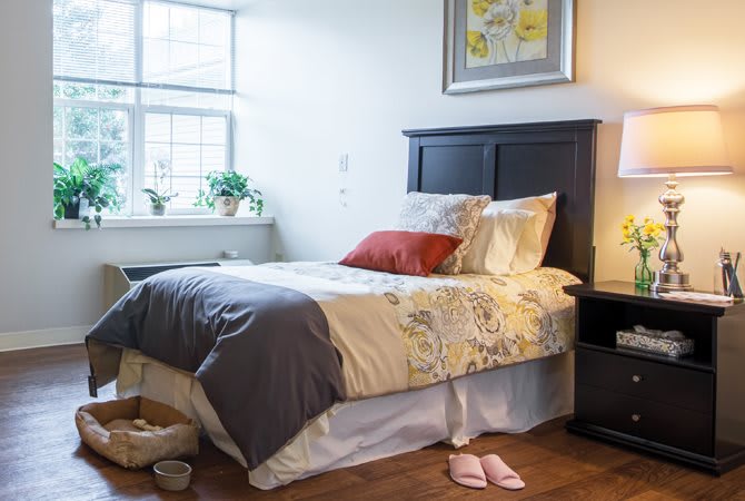 Cozy bedroom with a neatly made bed, decorative pillows, and a nightstand by the window.