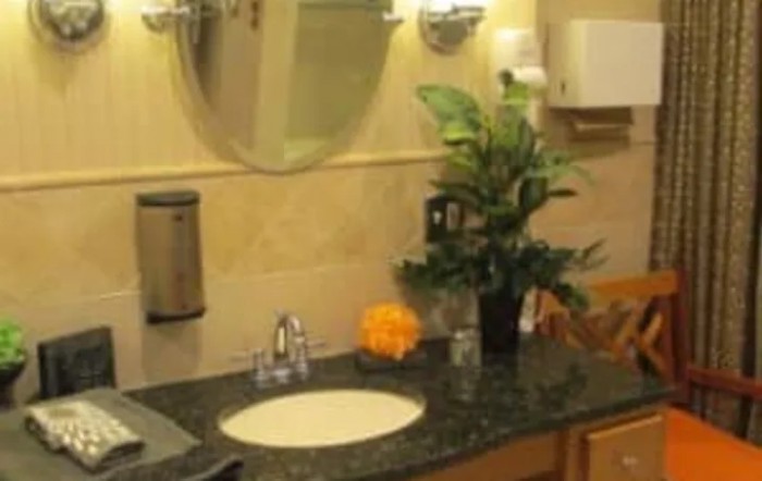 A neatly organized bathroom sink with a mirror and decorative plants.