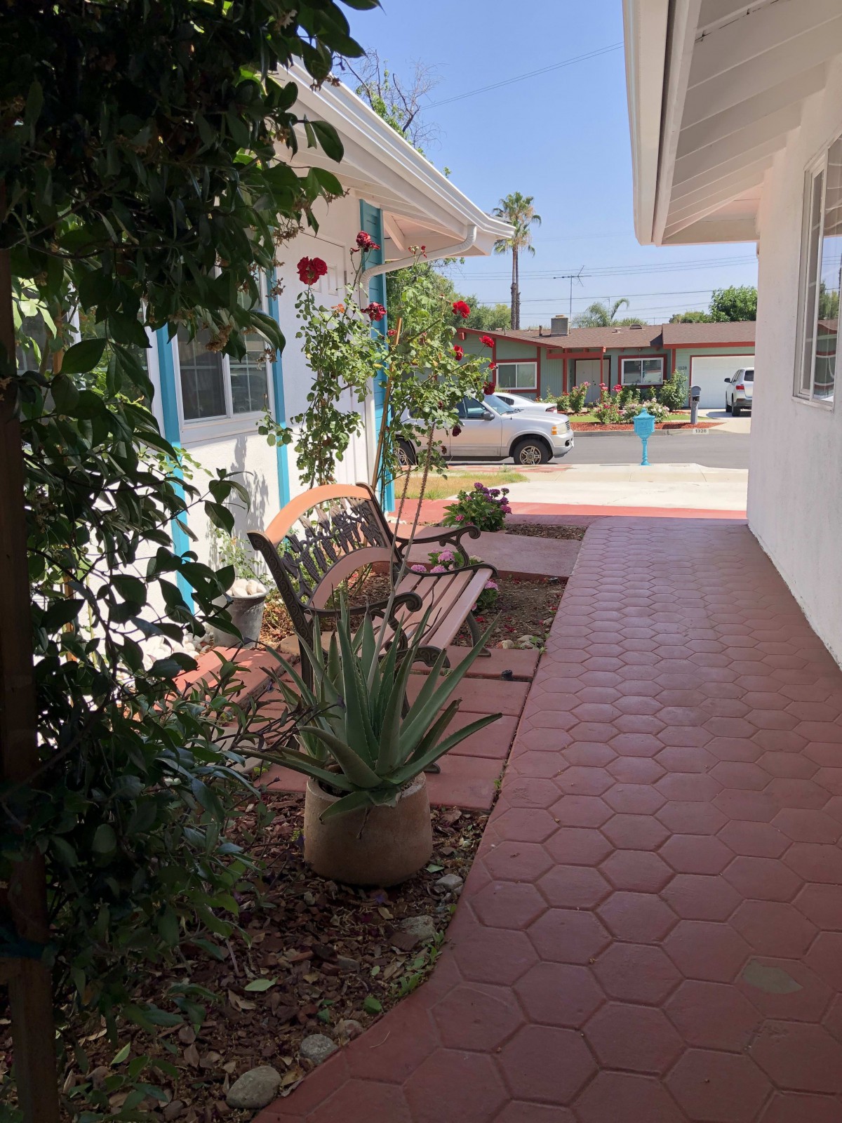 A tranquil patio with a wooden bench and potted plants under sunny skies.