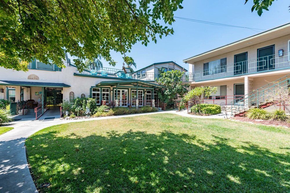 A sunny backyard with a well-maintained lawn and surrounding trees in a residential area.