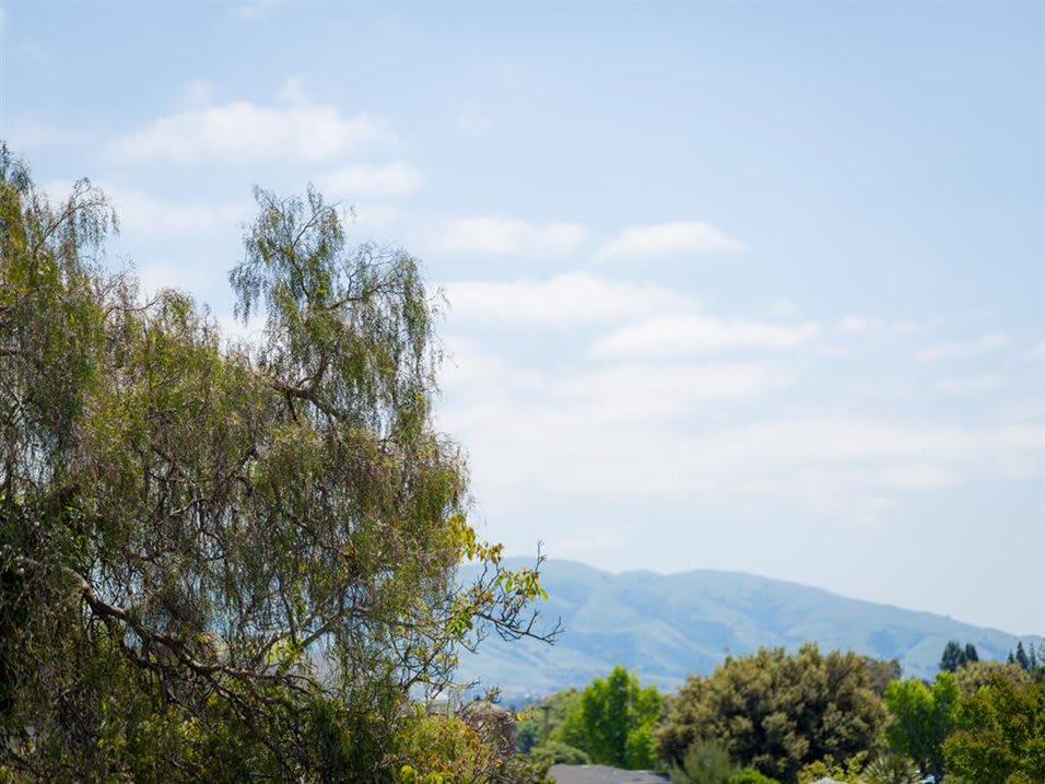 A serene landscape featuring trees with mountains in the distance under a clear blue sky.