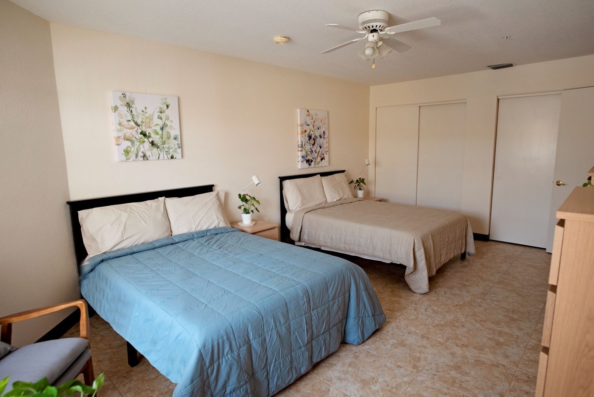 A cozy bedroom with two neatly made beds, decorated with artwork and plants.