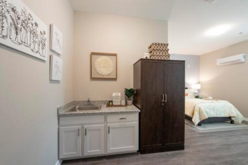 A small kitchenette with a sink, cabinets, and decor in a home setting.