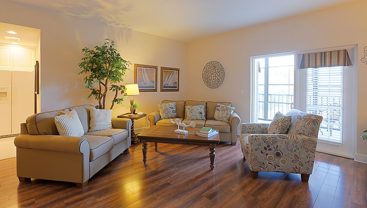 A cozy living room with comfortable seating, a coffee table, and decorative elements.