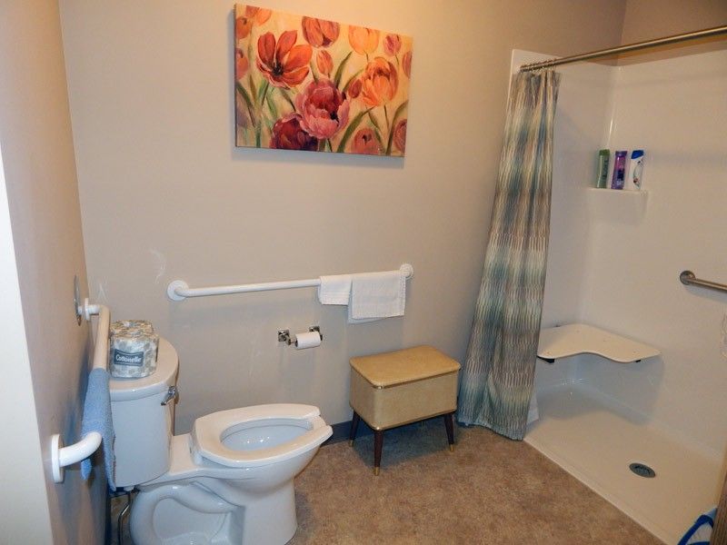 A modern and accessible bathroom with a toilet, shower, and grab bars.