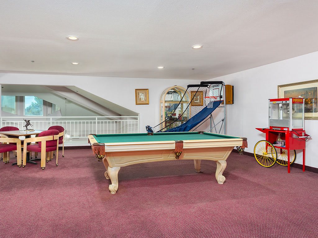 A spacious game room featuring a billiards table, indoor slide, and popcorn machine on a carpeted floor.