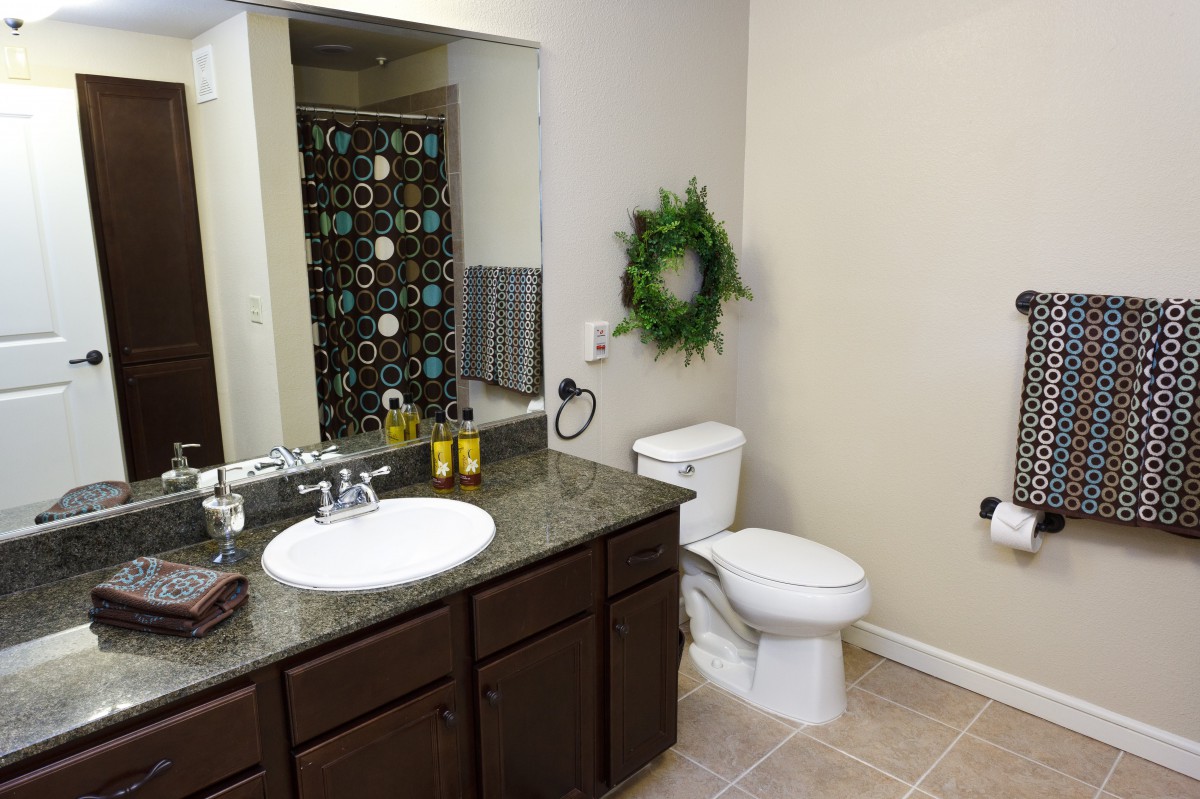 A modern bathroom with a sink, toilet, and decorative elements.
