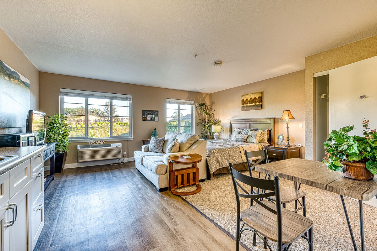 A cozy studio apartment featuring a combined living and bedroom area with a sofa, dining table, and large windows providing ample natural light.