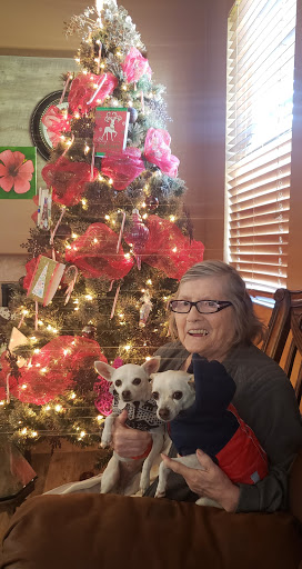 A joyful moment by the Christmas tree with two adorable dogs.