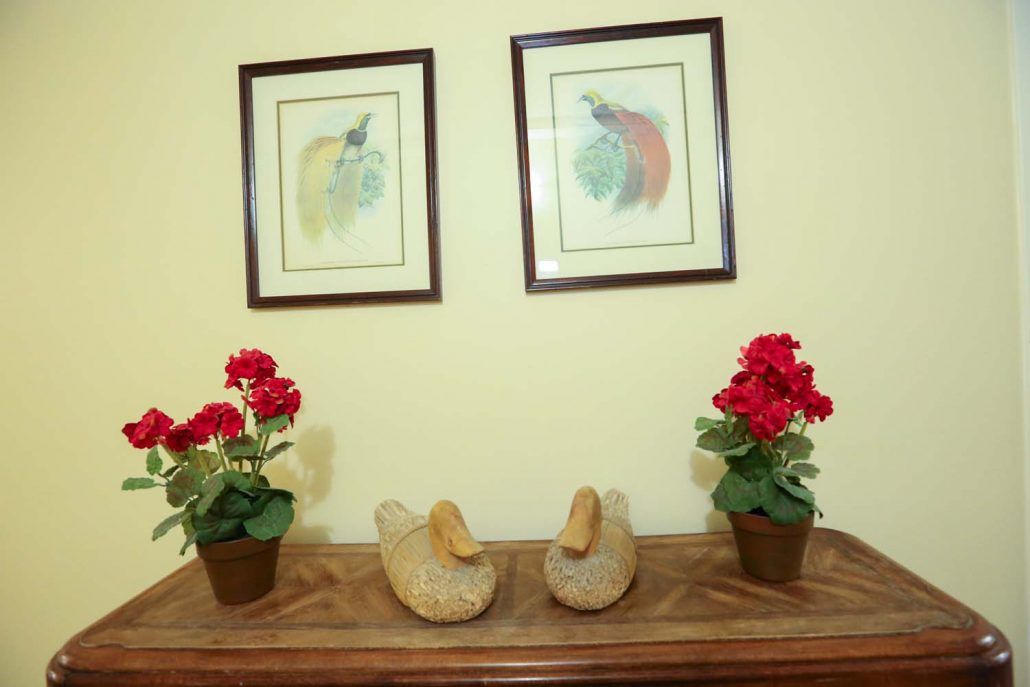 A cozy interior setup featuring framed bird art, plush ducks, and vibrant red flowers on a wooden table.