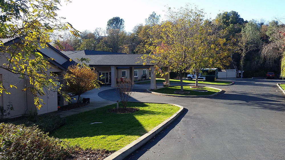 A quiet residential area with a building, trees, and a paved driveway under sunlight.
