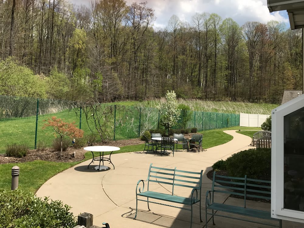A peaceful backyard with a patio, surrounded by trees and garden.