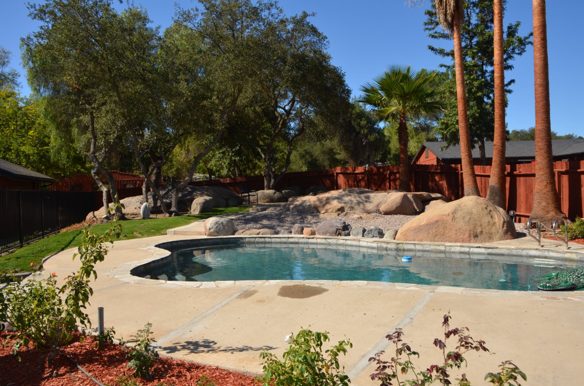 A sunny backyard featuring a swimming pool surrounded by trees and landscaped rocks.