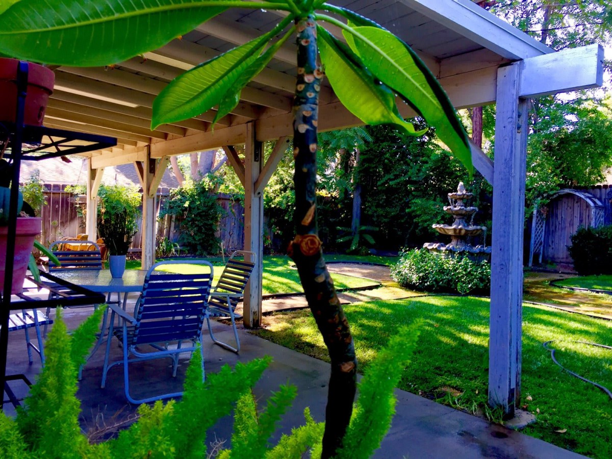 A serene garden patio with lush greenery and outdoor seating.