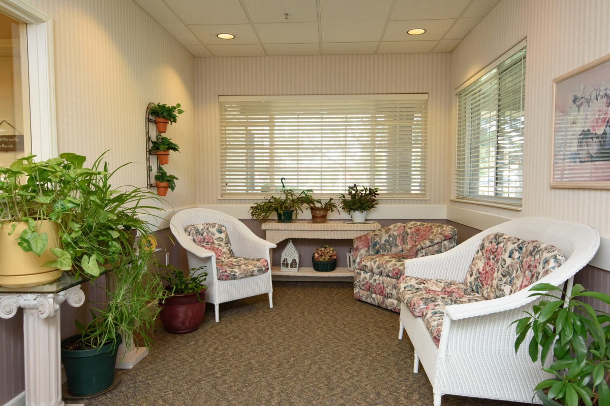 A cozy waiting room featuring floral-patterned chairs, indoor plants, and a calming atmosphere.