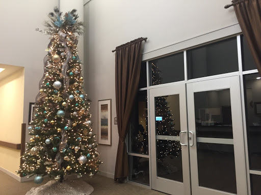 A beautifully decorated Christmas tree stands elegantly next to glass doors, enhancing the festive atmosphere indoors.