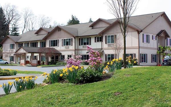 A suburban house with a beautifully landscaped garden in spring.