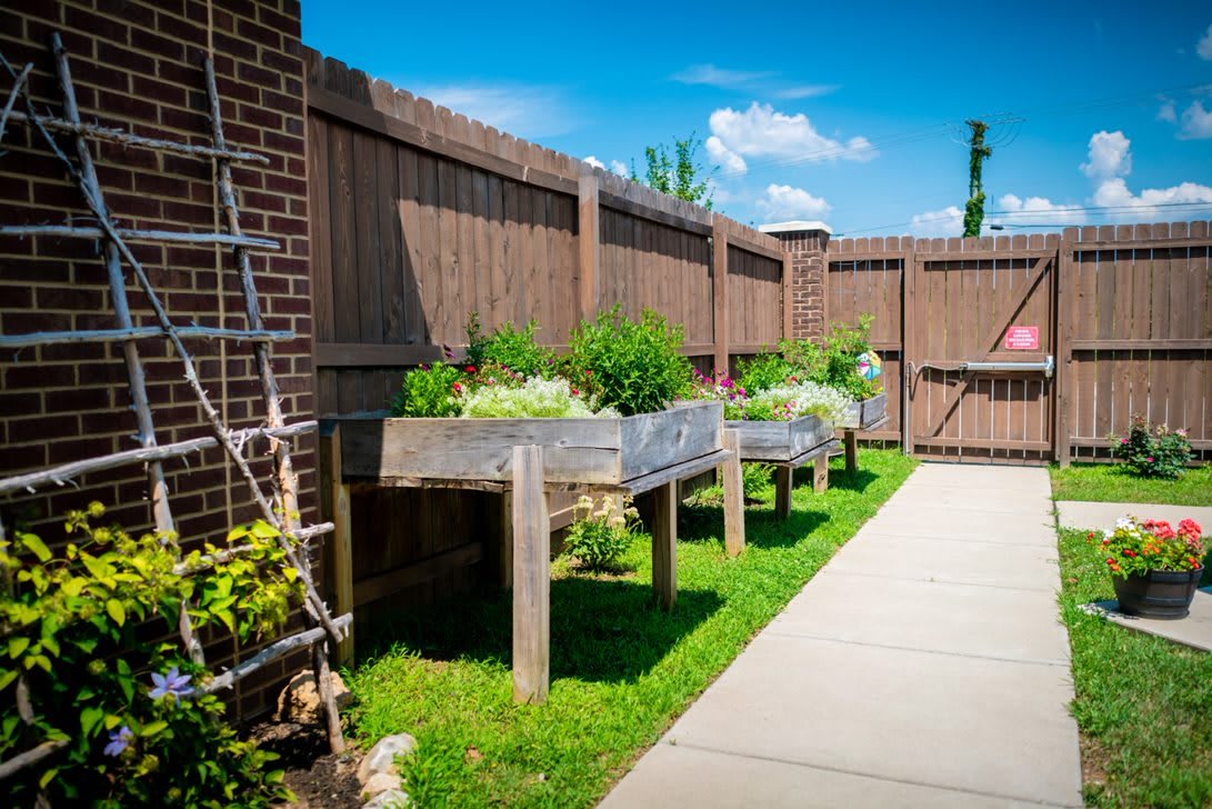 A backyard with wooden raised garden beds alongside a fence on a sunny day.