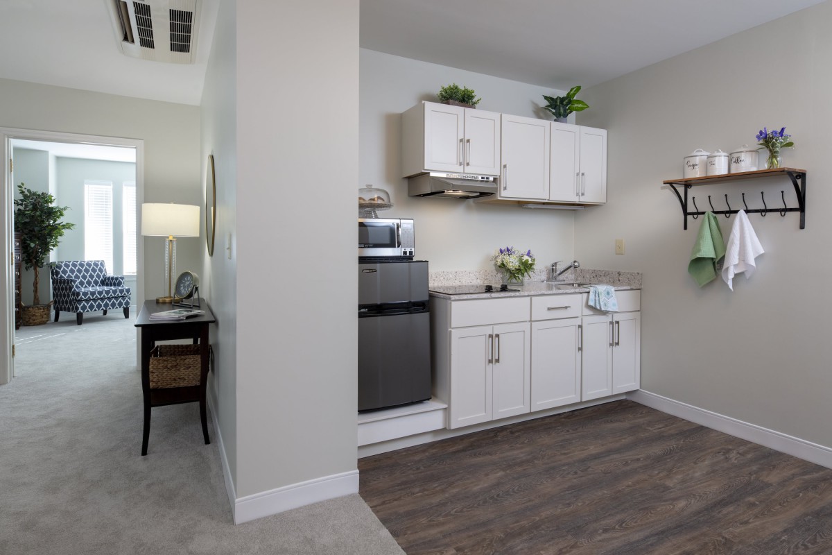 A modern kitchen with white cabinets and decorative plants.