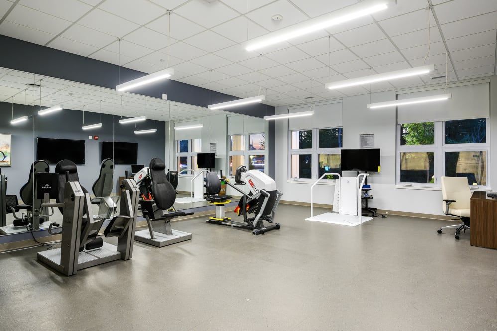 A modern gym interior featuring various exercise machines and mirrors.