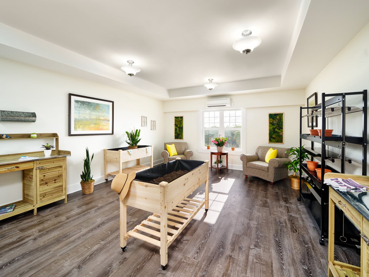 A modern living room with wood flooring, stylish furniture, and vibrant plants.
