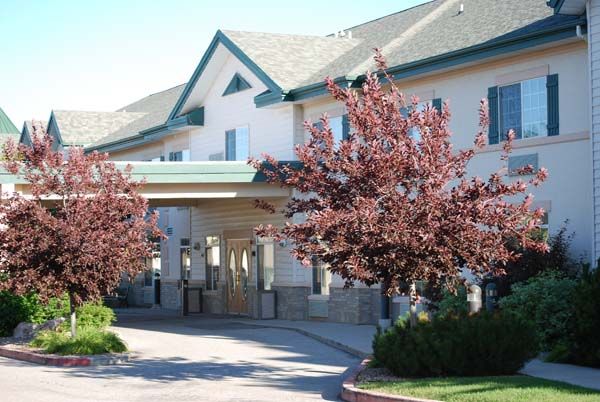 A building entrance flanked by blooming trees.