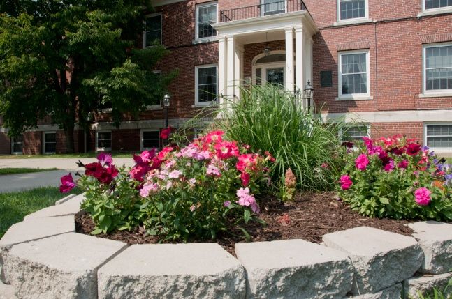 A colorful flower garden in front of a brick building entrance.