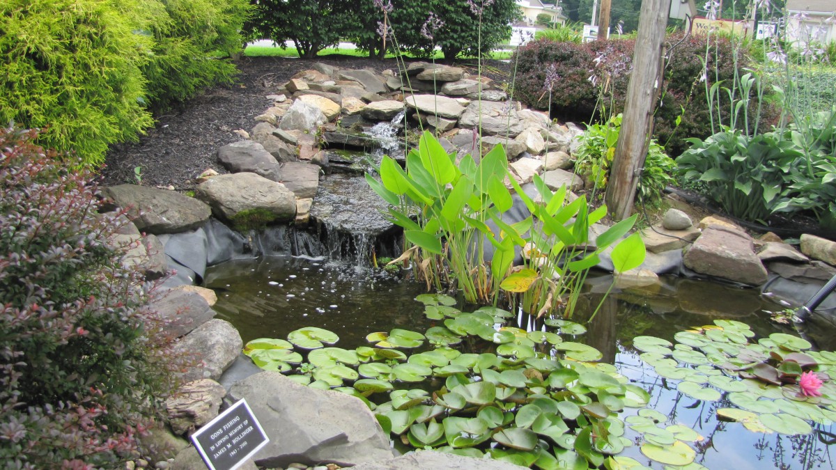 A serene garden pond with a small waterfall surrounded by lush greenery and rocks.