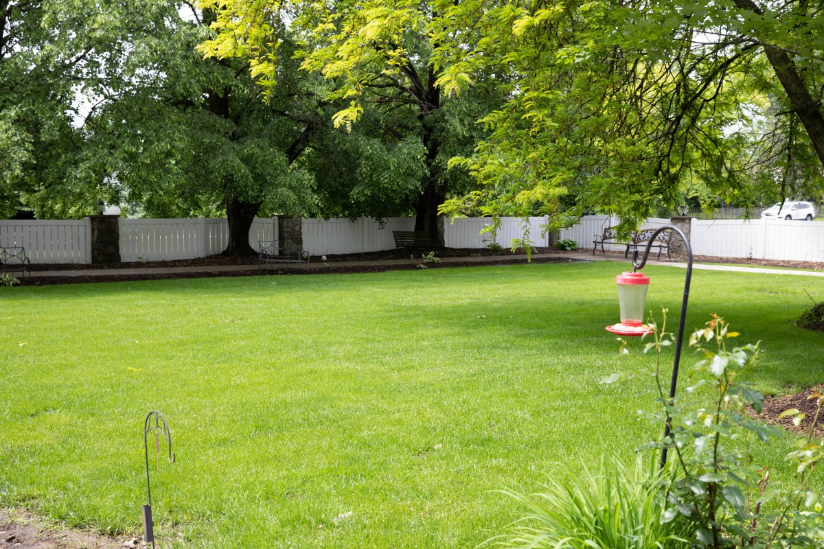 A lush green backyard with trees, a fence, and a hummingbird feeder.