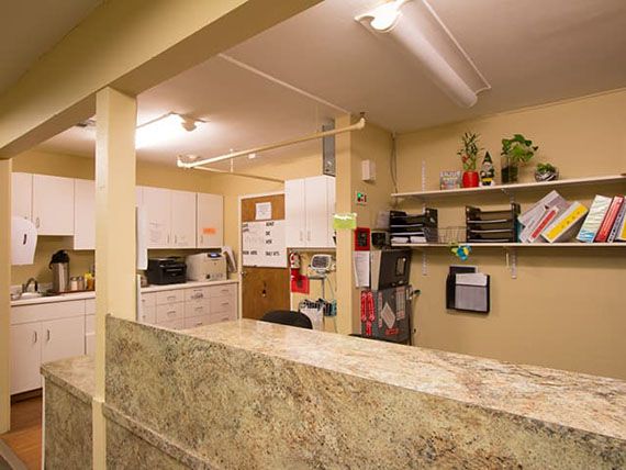 A cozy office reception area with a desk, plants, and organized shelves.