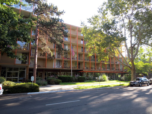 A modern residential building surrounded by trees, capturing a serene street view.
