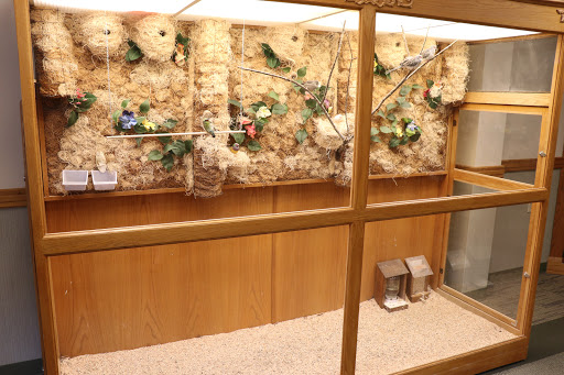 A cozy wooden interior featuring a floral display on the wall.