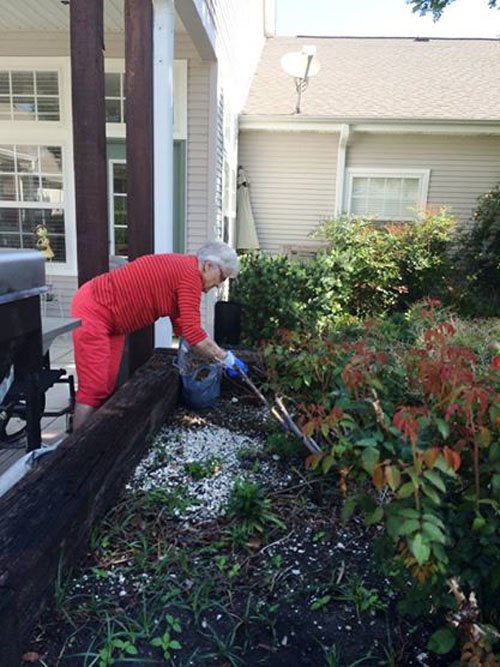 Two people working together in a garden by their house.