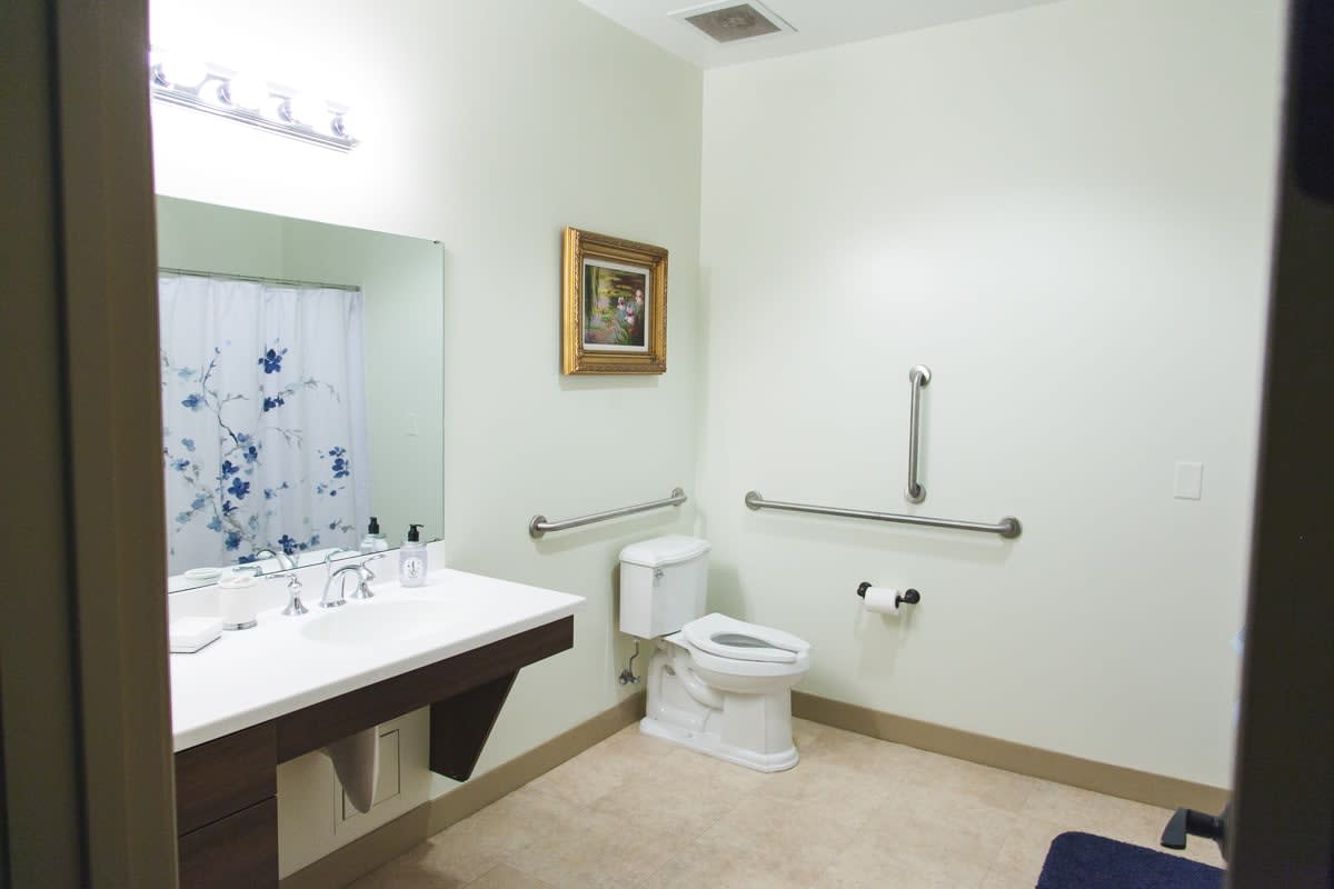 A modern, accessible bathroom with grab bars, a toilet, and a spacious sink area.