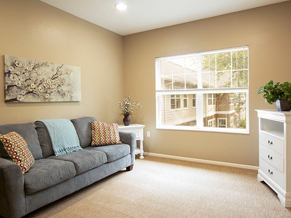 A cozy living room with a comfortable sofa and large window.