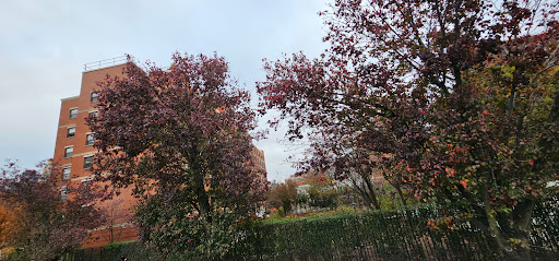 Cumberland Gardens