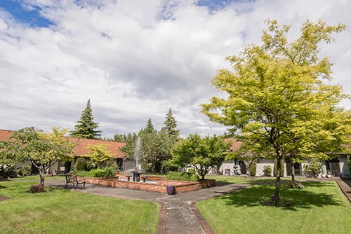 A tranquil park setting with a central fountain surrounded by trees and pathways under a cloudy sky.