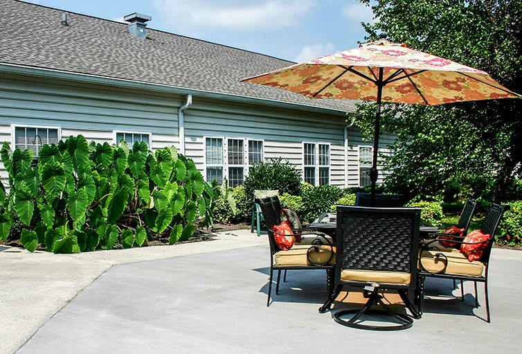 A sunny patio with outdoor furniture and an umbrella in a garden setting.