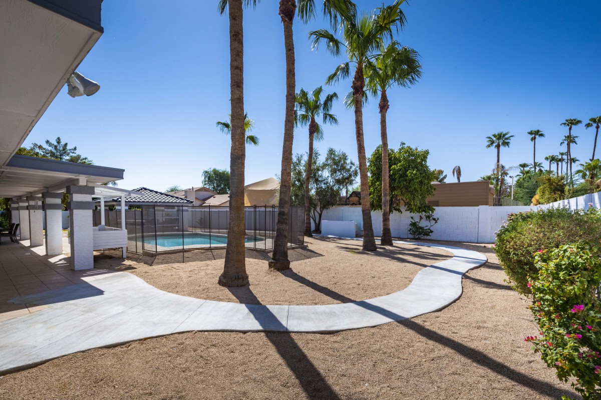 A sunny backyard featuring palm trees and a fenced swimming pool.