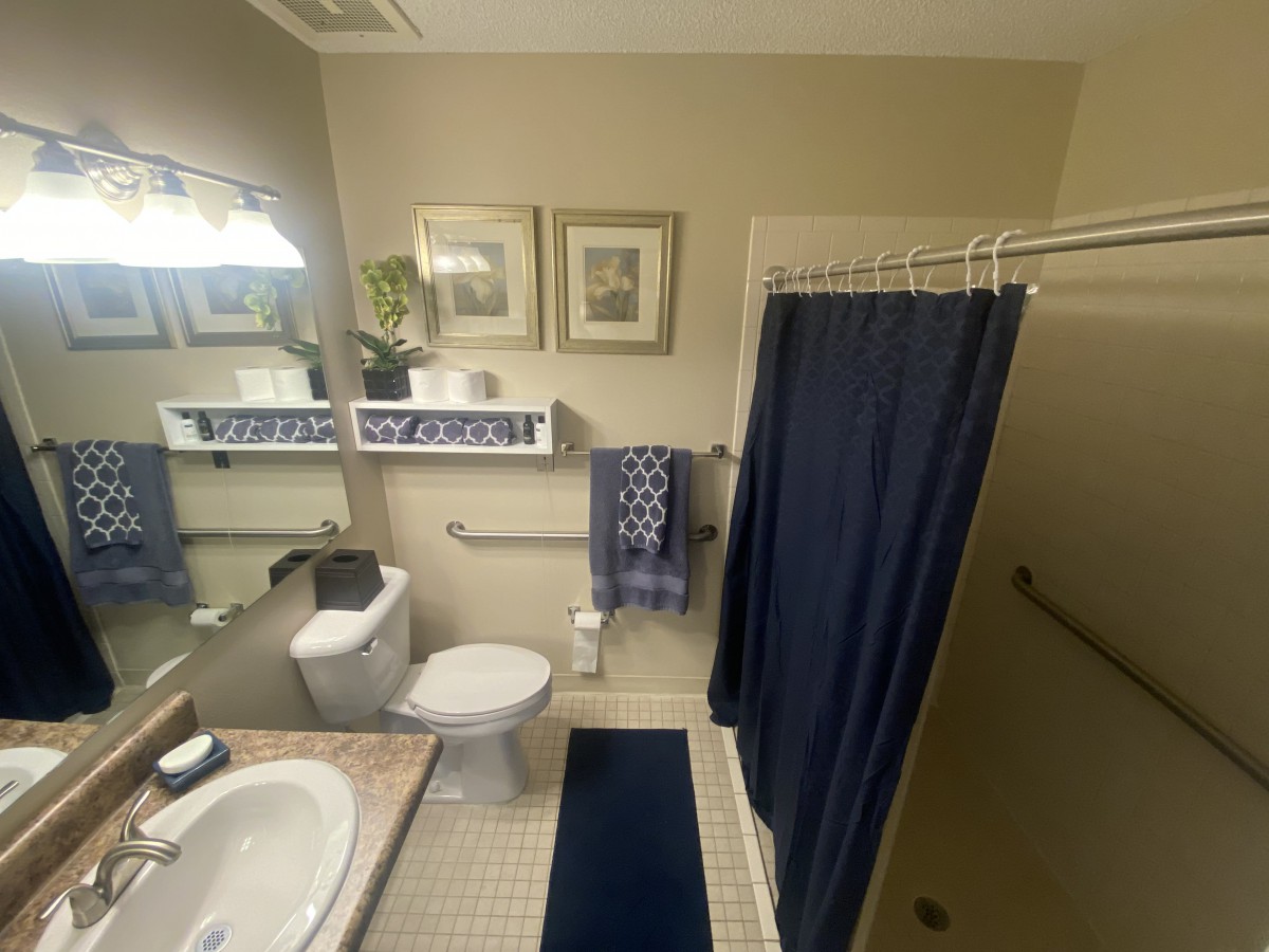 A well-organized bathroom with a blue color scheme, featuring a sink, mirror, toilet, and shower area.