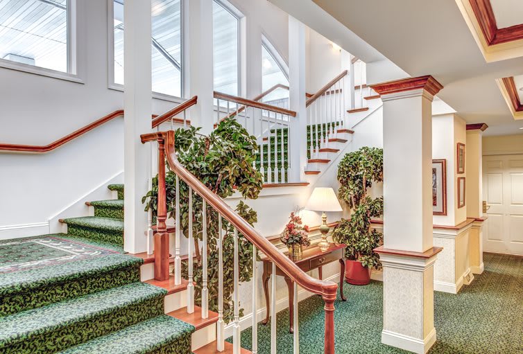 A well-lit interior featuring a staircase with green carpet and wooden railings, adorned with lush plants.
