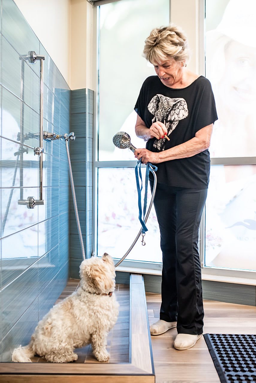 A woman is giving a dog a bath using a showerhead.
