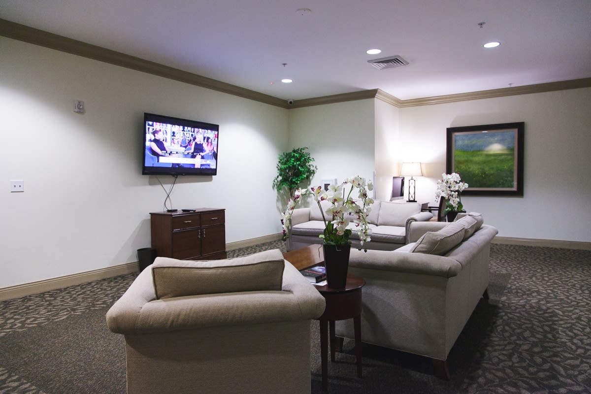 A cozy waiting area with sofas, a television, and decorative plants.
