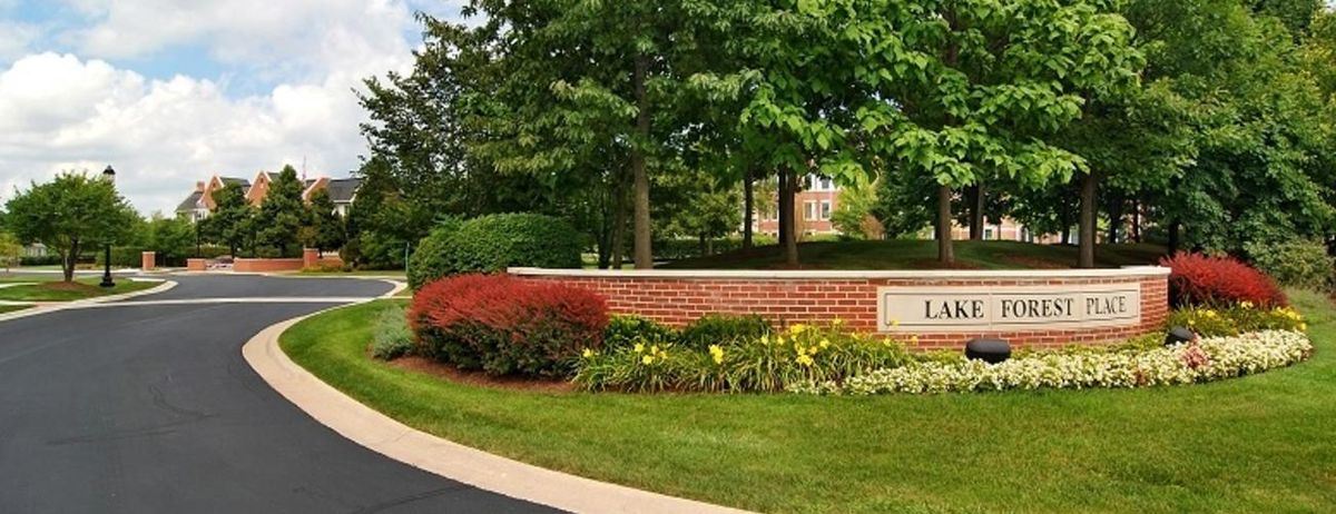A scenic view featuring a brick wall surrounded by lush greenery, colorful flowers, and mature trees.