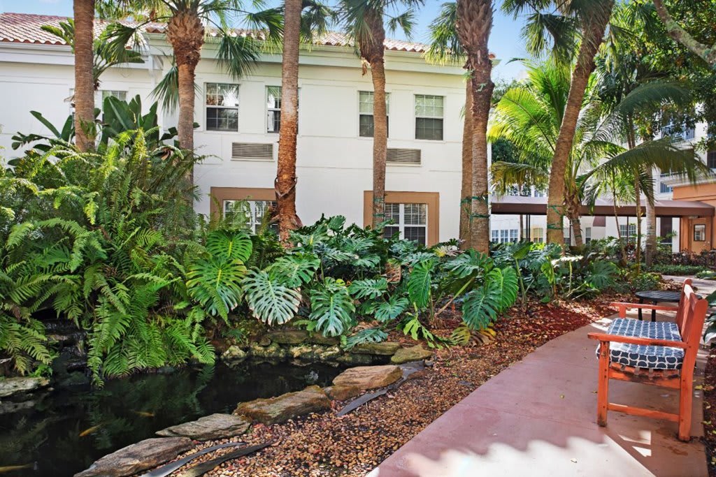 A tropical garden with palm trees and lush plants surrounds a house.