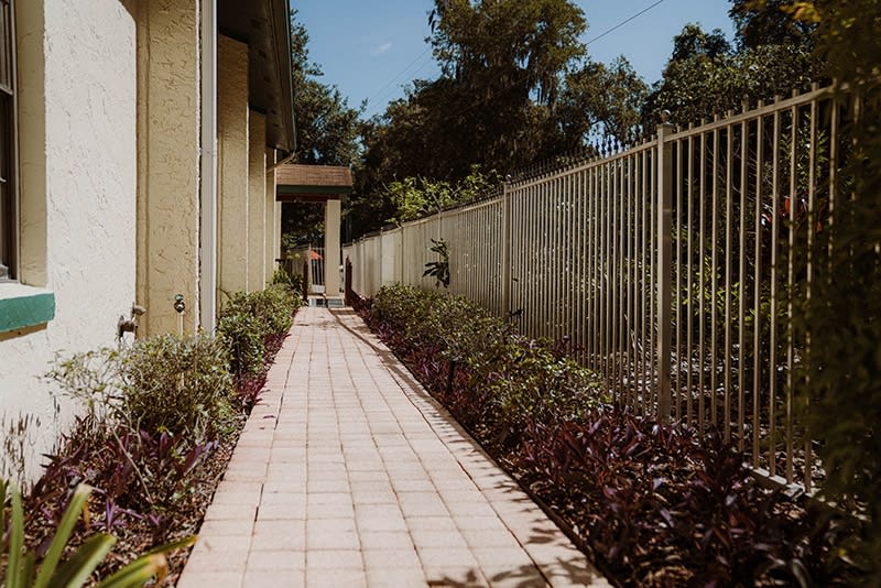 A paved pathway lined with greenery and a metal fence, adjacent to a building.