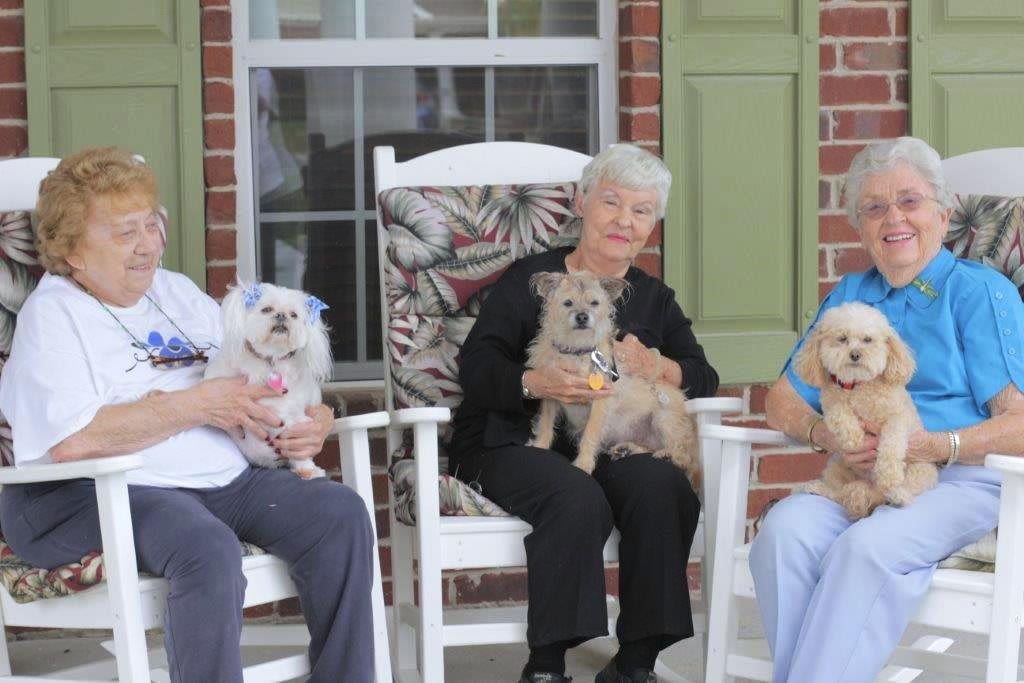 Three elderly people sitting on a porch with their dogs.