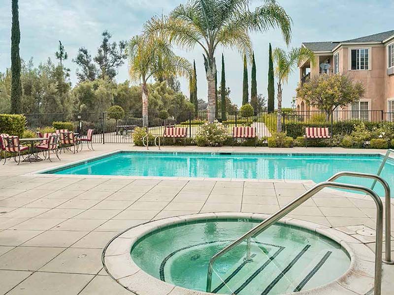 A serene outdoor area featuring a swimming pool and hot tub surrounded by palm trees and lush landscaping.