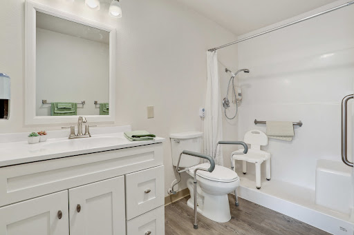 A modern bathroom featuring a toilet with safety grab bars, a shower nook, and a stylish vanity.